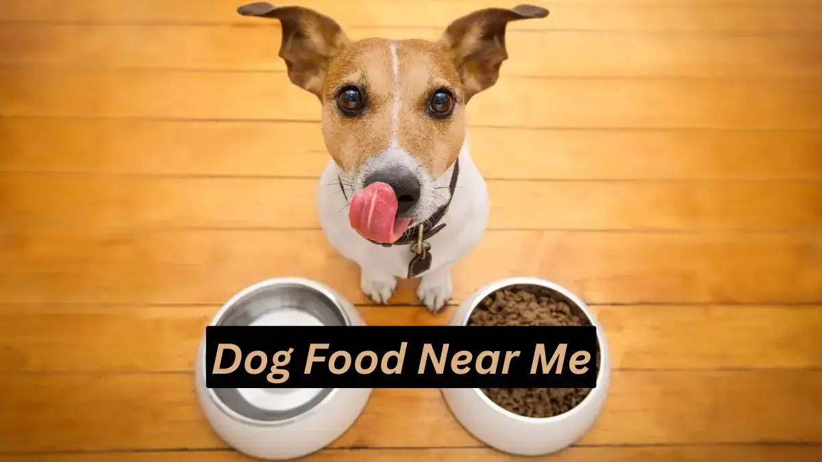 Dog Food Near Me – Find the Best Dog Food Near You – July 2023